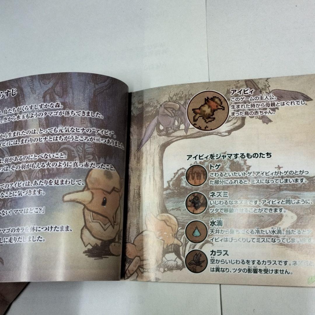 IVY THE KIWI？  期間限定　　ds