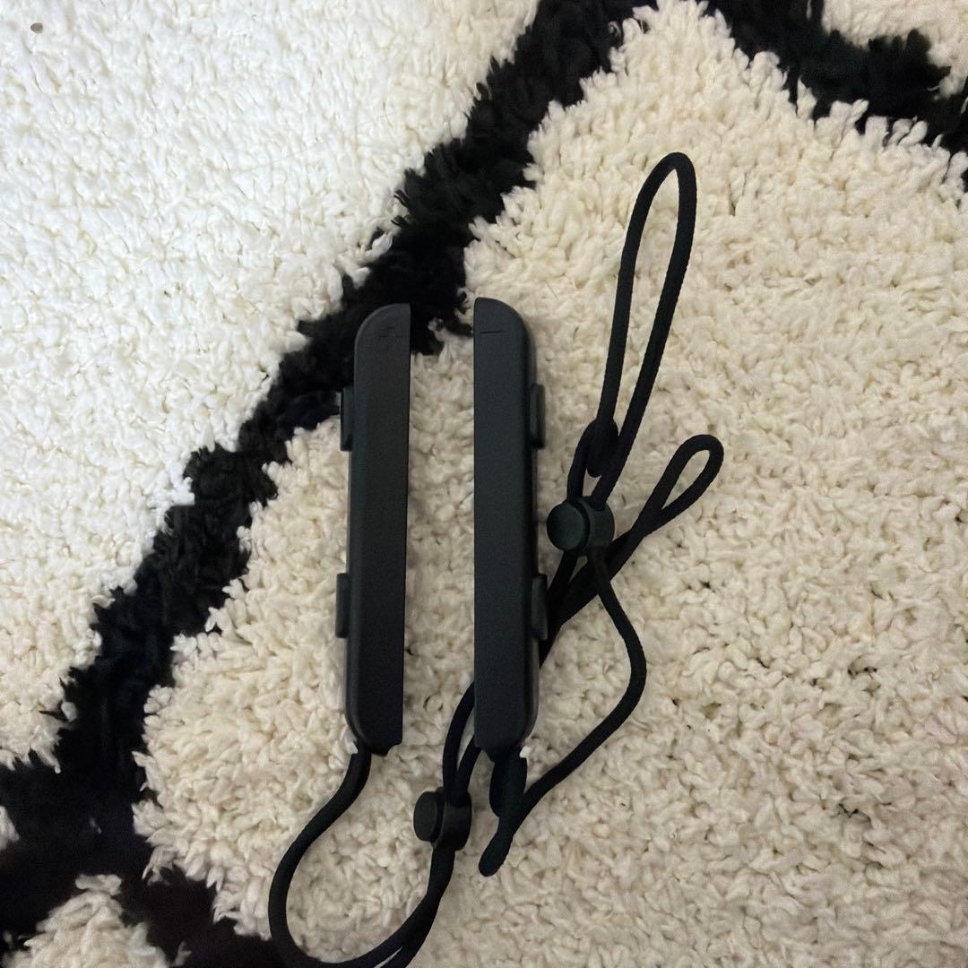 Nintendo Switch Lite 赤/黒 本体と付属品【動作確認済み】