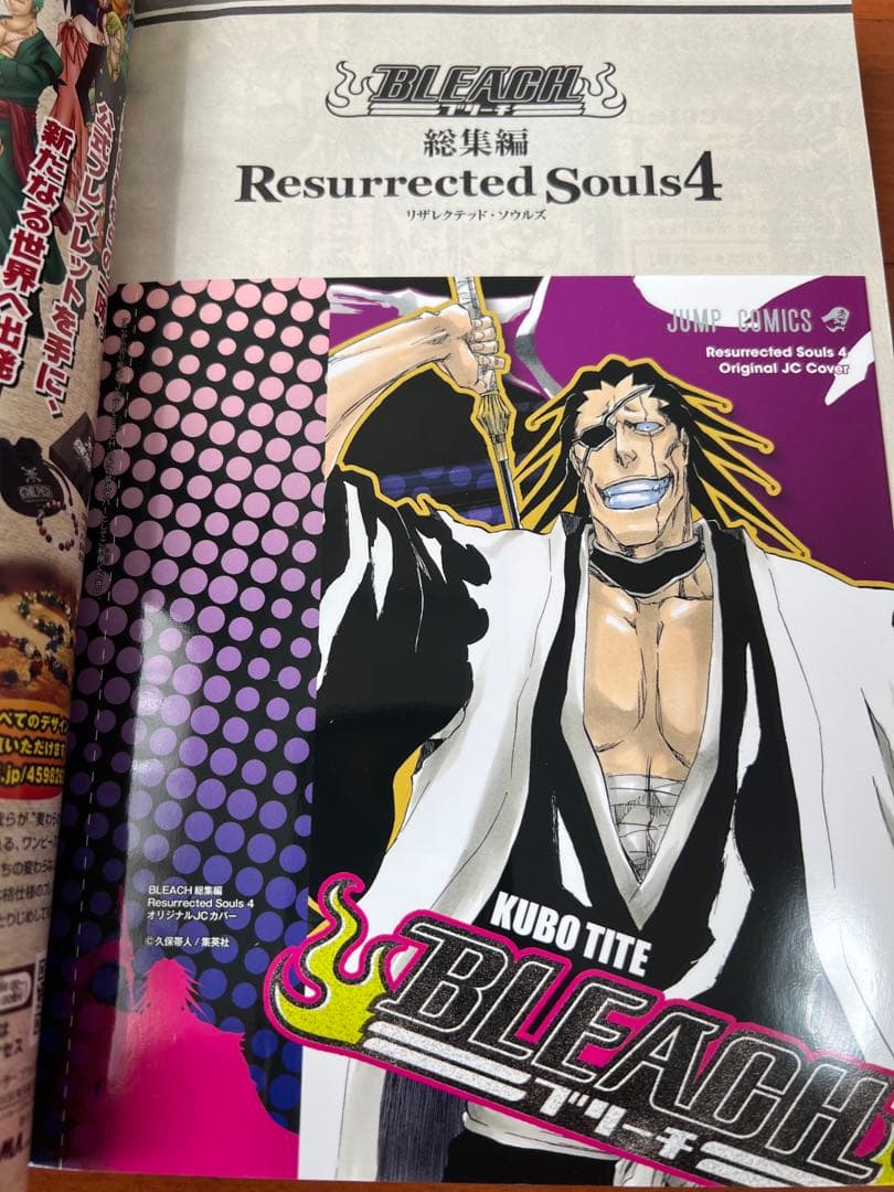 『BLEACH』ブリーチ　総集編　特典カバー付き