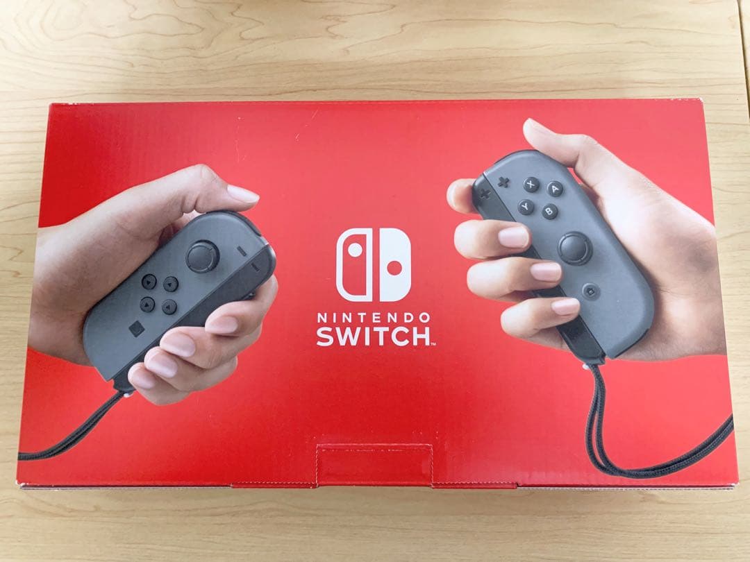 Nintendo Switch グレー 本体+Switchケース