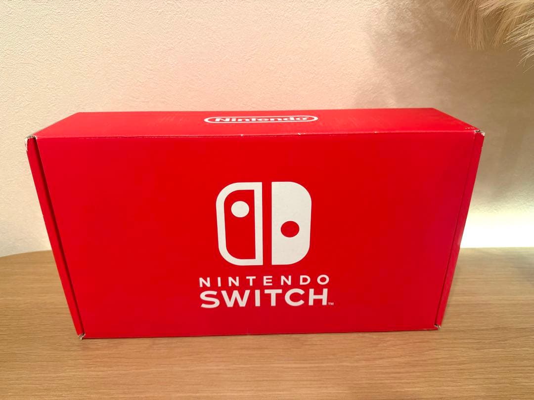 Nintendo Switch 本体 グレー カラーカスタマイズ