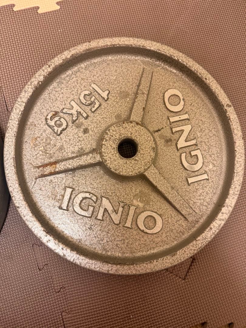 IGNIO製 15kgダンベルプレート　2枚