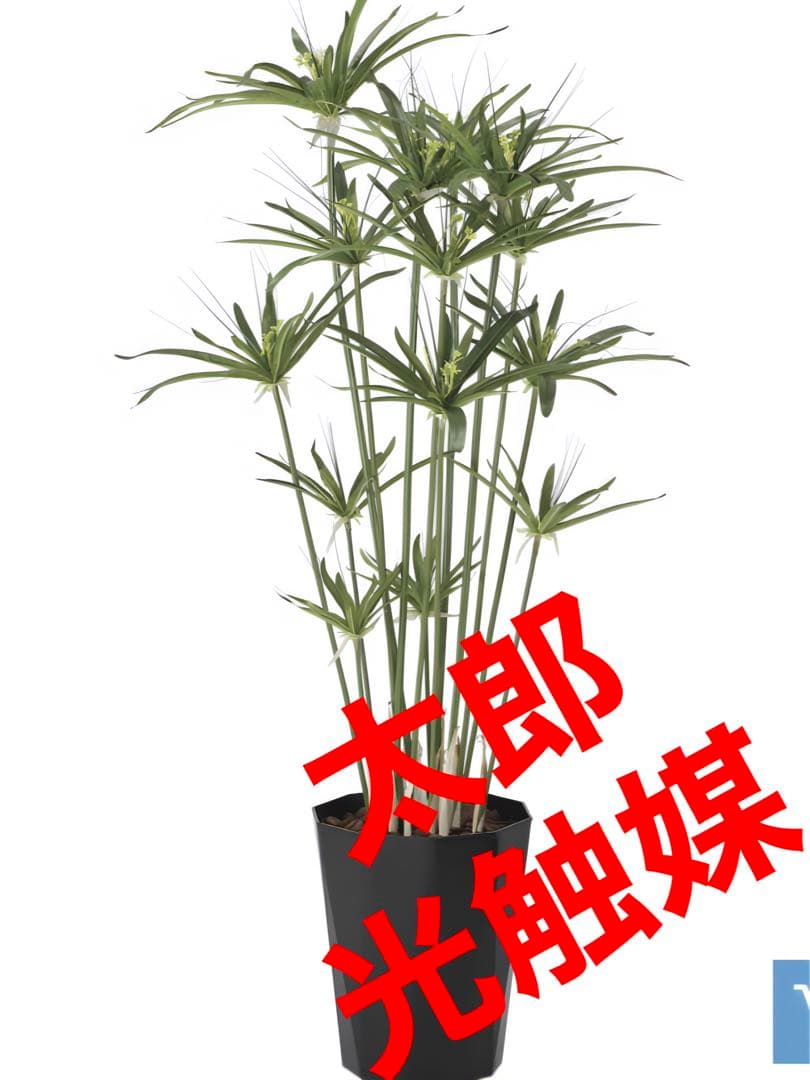 光触媒　人工観葉植物　ウォールグリーン　フェイクグリーン　パピルス 1.25m