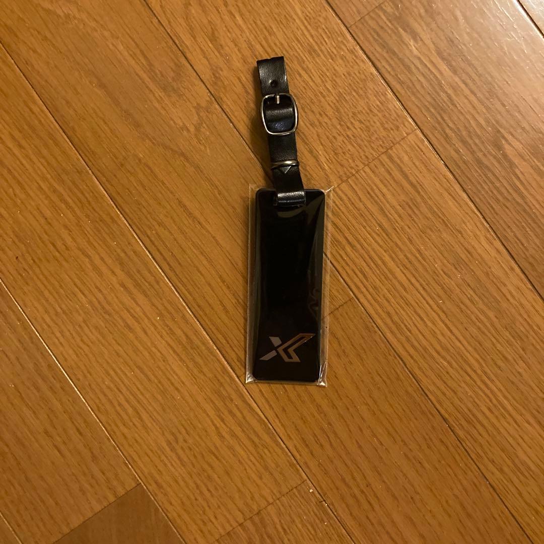 ゼクシオX スタンスキャディーバック