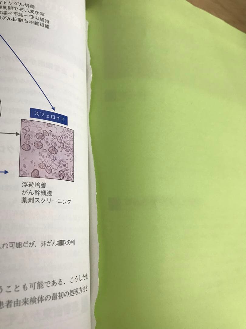 ※１ぺージ落丁有　患者由来がんモデルを用いたがん研究実践ガイド
