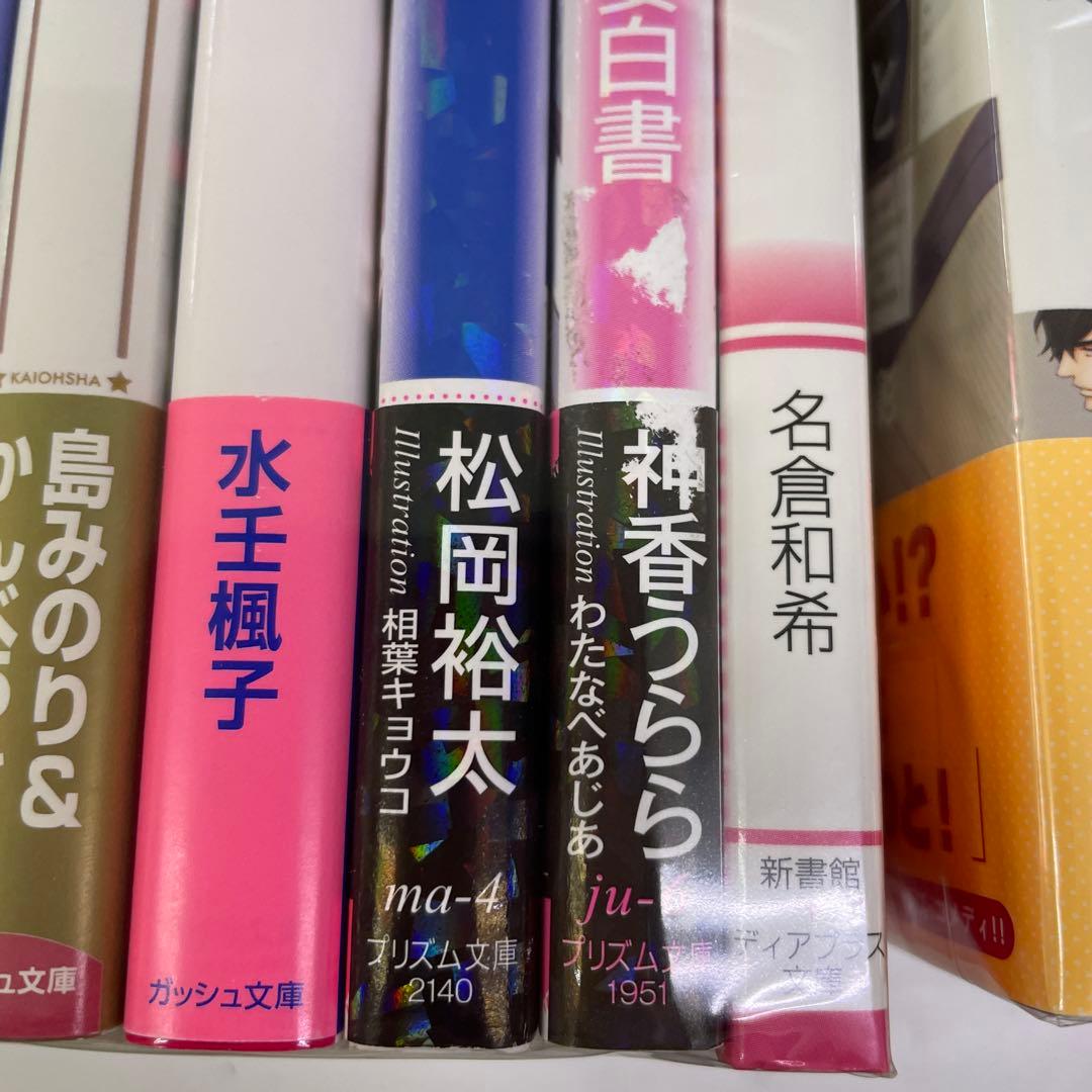 BL小説33冊セット プラチナ文庫 セシル文庫 ディアプラス文庫他