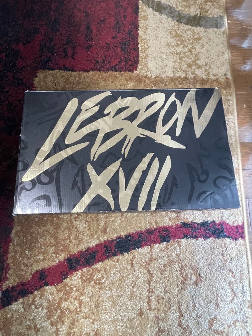 シューズ(男性用) Lebron XVII Black Noir