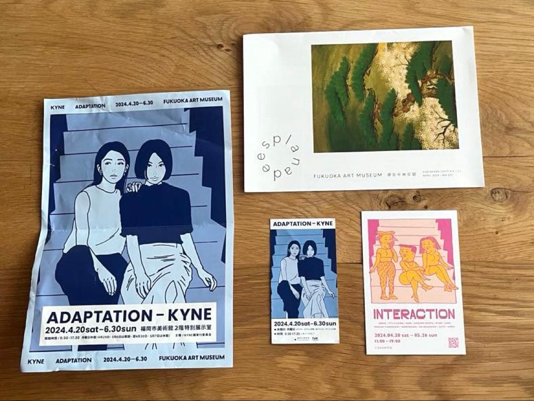 KYNE 図録 ADAPTATION FUKUOKA ART MUSEUM