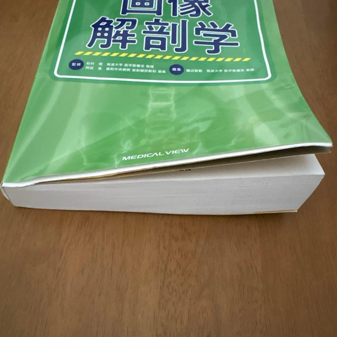 若葉マークの画像解剖学