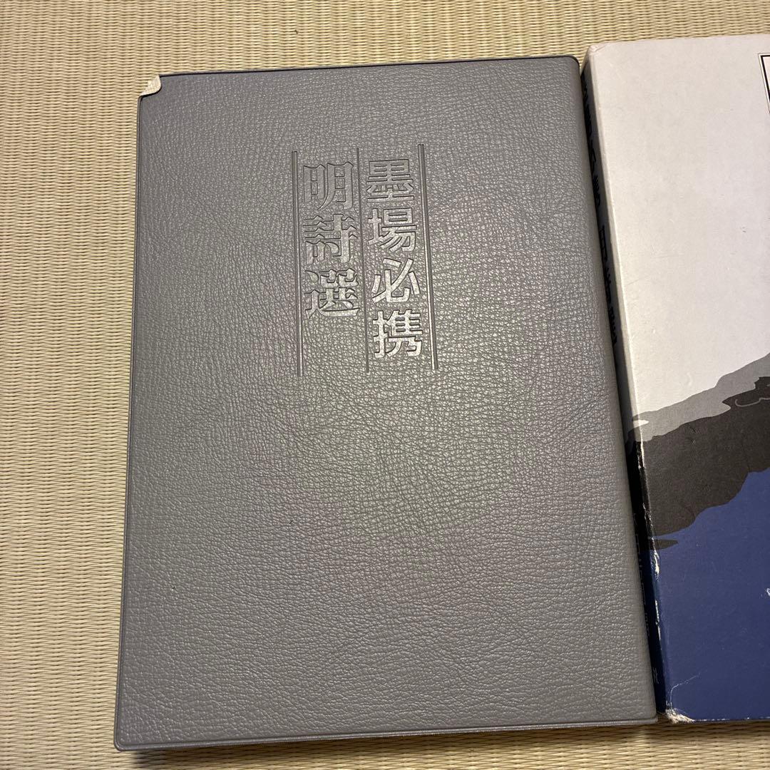 墨場必携明詩選