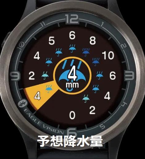 ゴルフ 距離計 腕時計 GPS ナビ EAGLE VISION ACE PRO