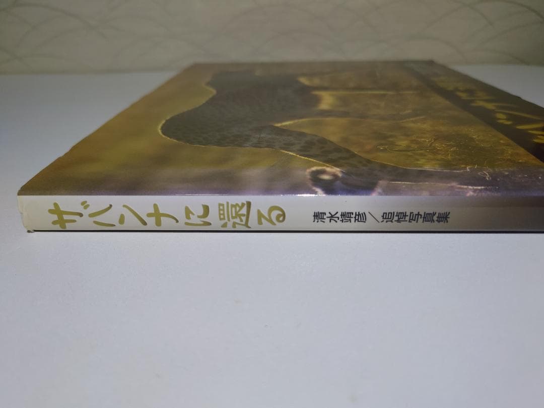 希少　写真集　サバンナに還る　清水靖彦