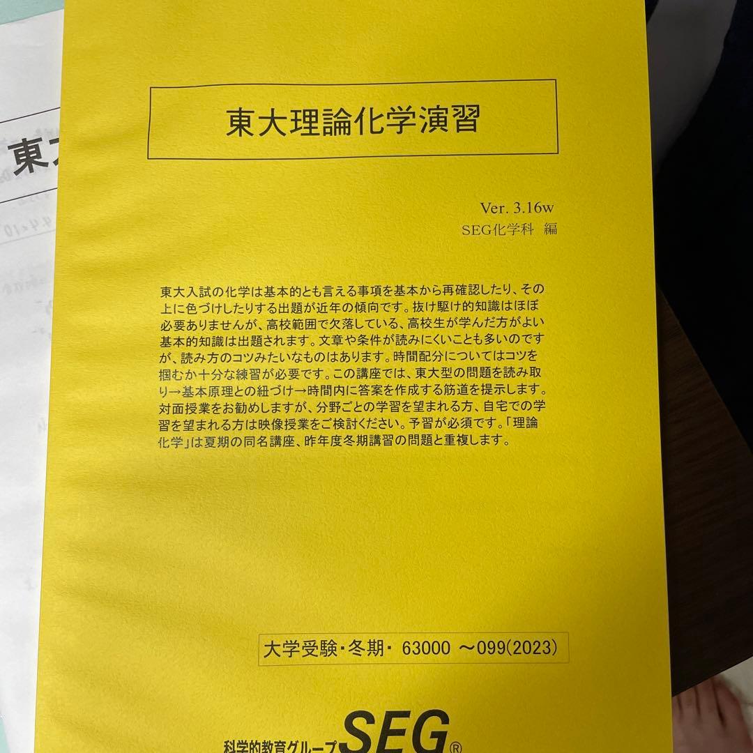 SEG 東大化学　冬季講習　一式　解答付き