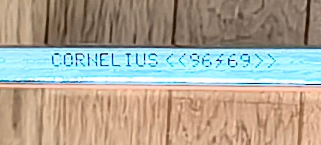 『希少』Cornelius 96/69 地球あやうし 2枚組 LPレコード