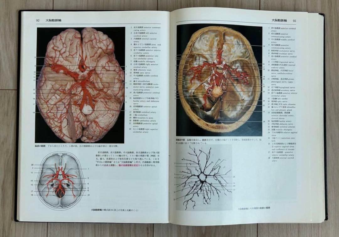 解剖学カラーアトラス　第2版　医学書　解剖学書
