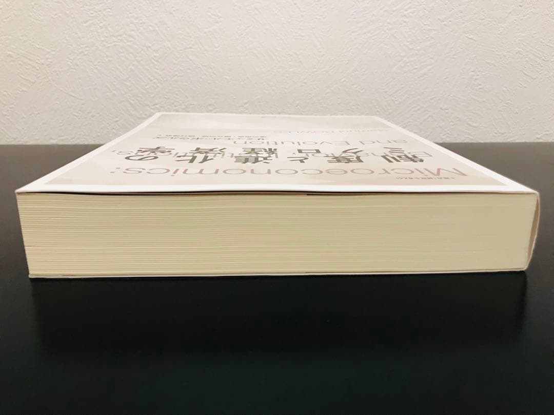 【超希少・美品・初版】制度と進化のミクロ経済学 (叢書《制度を考える》)