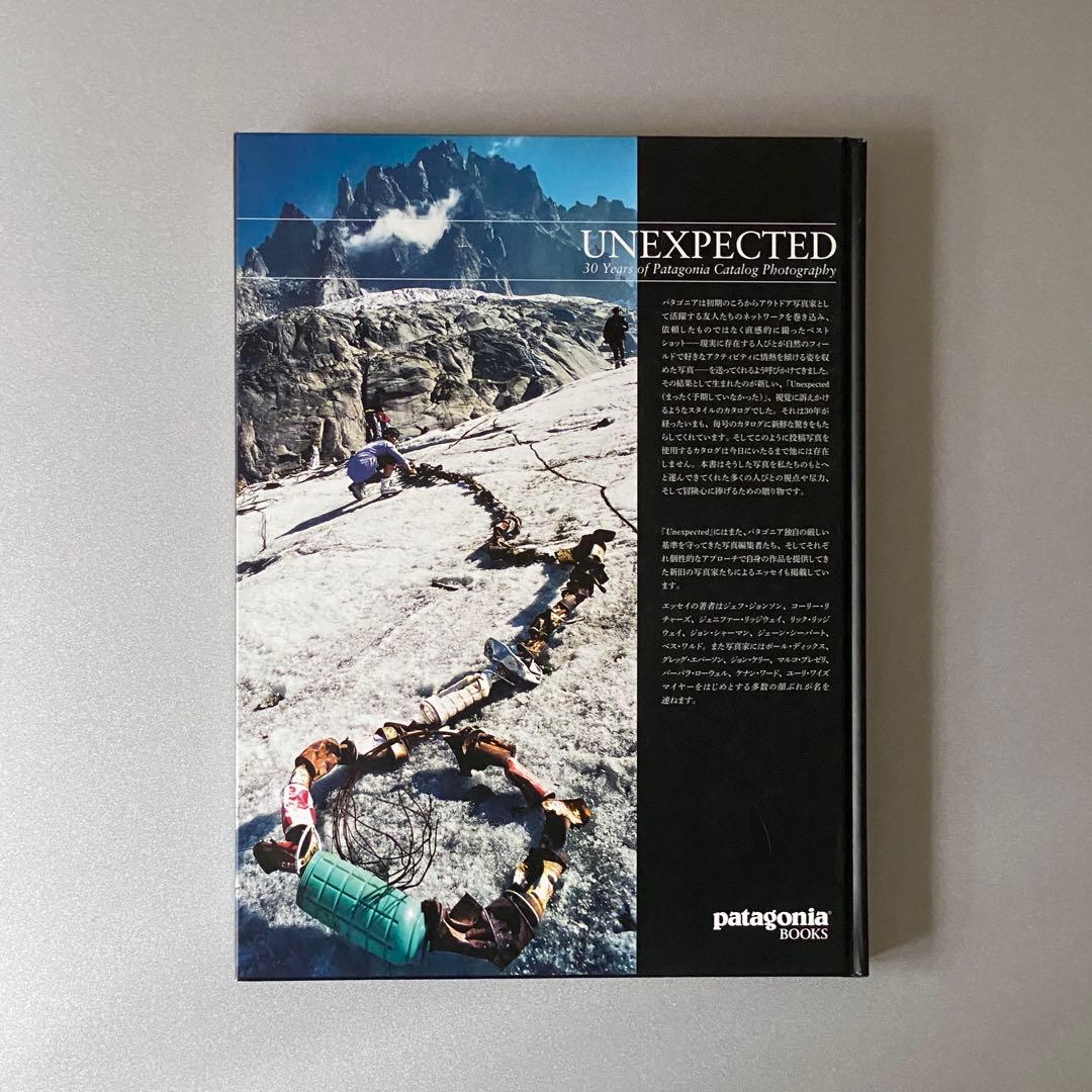《値引き交渉可》【Patagonia】UNEXPECTED 日本語版