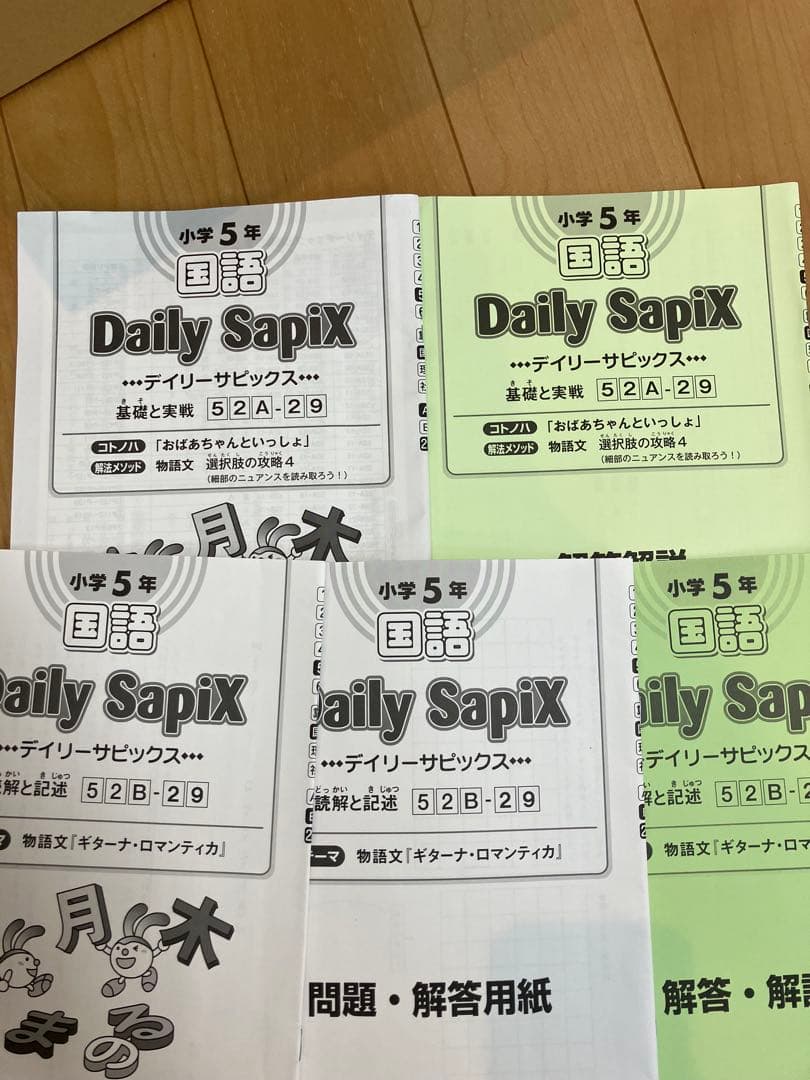 【超破格】5年　SAPIX 算数・国語　2024年　1年分　サピックス
