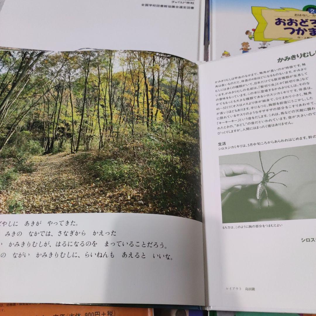 スーパーワイドゲーム　絵本　かがくのとも 傑作選 10冊セット 自然