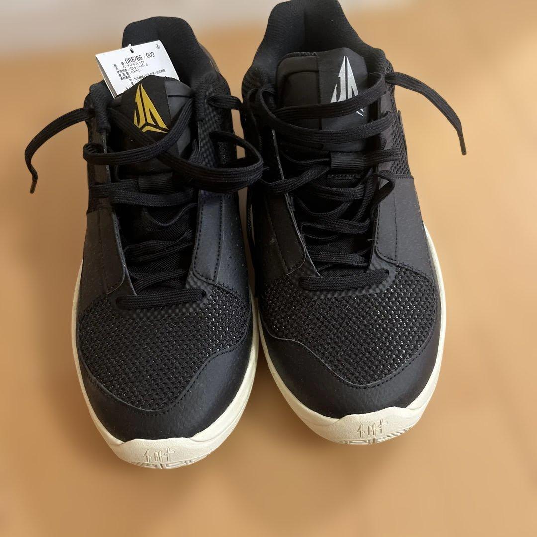 シューズ(男性用) Nike JA 1 EP 29cm