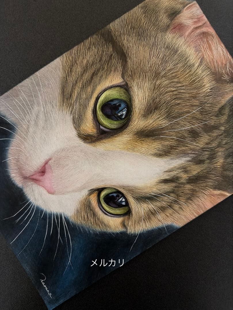 色鉛筆画A4.キジシロ43