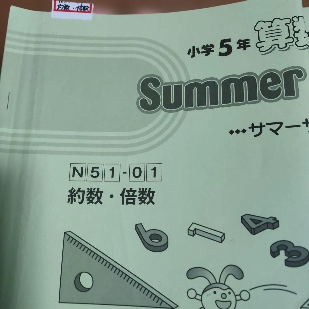 サピックス　SAPIX 小学5年算数 デイリー サポートなど1年分　使用済み