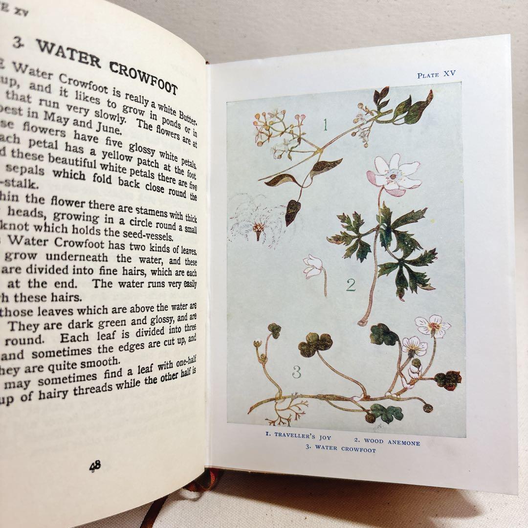 海外 ヴィンテージ洋書 FLOWERS 草花の図鑑 イギリス