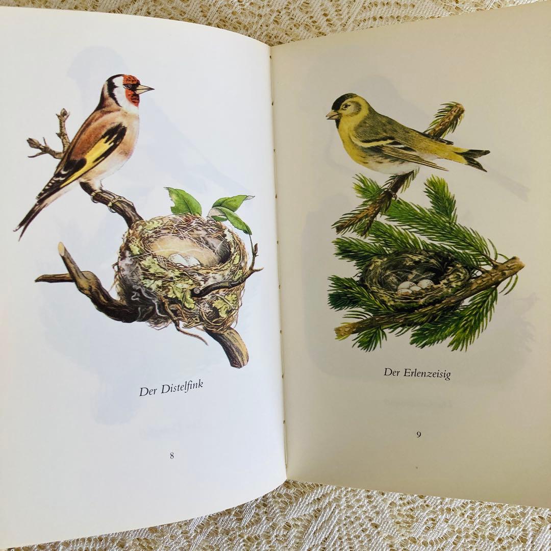 まとめ売り♪　インゼル文庫3点セット　鳥・蝶・木の図鑑　ドイツ古書