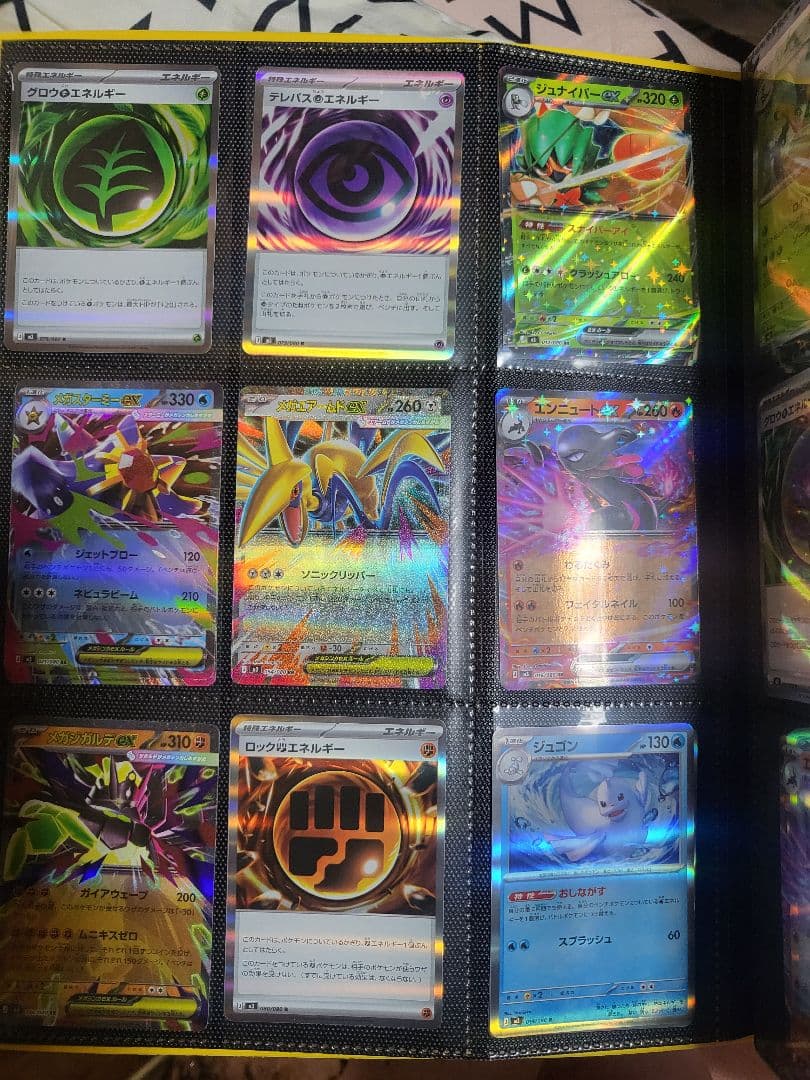 ポケットモンスターリーフグリーン特別版 ポケカ引退品のセット