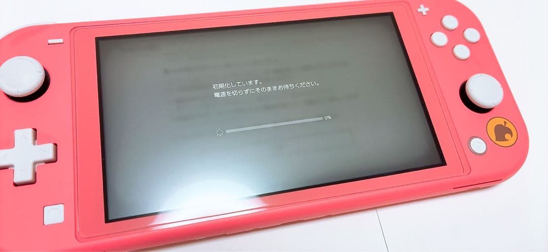 Switch light ライト しずえアロハ柄 あつまれどうぶつの森 スイッチ