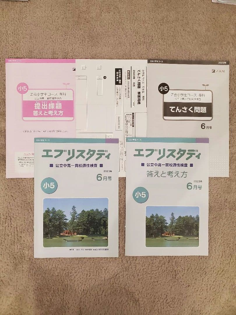 Z会 エブリスタディ 適性検査 小５ 公立中高一貫