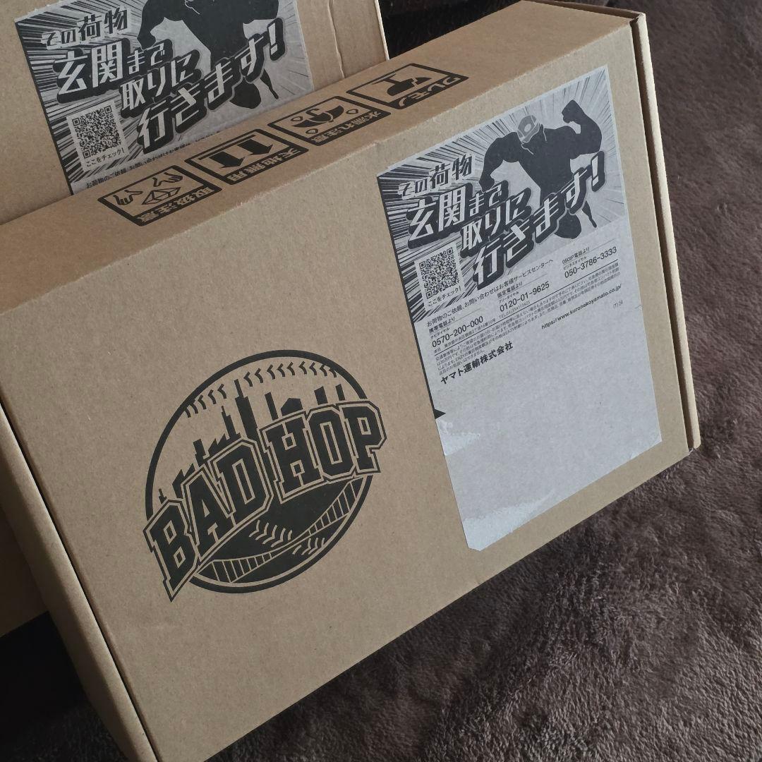 BADHOP LIVE DVD THE LAST EDITION 未開封