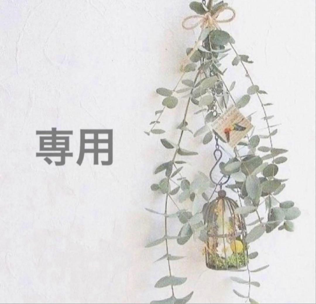 まあこ