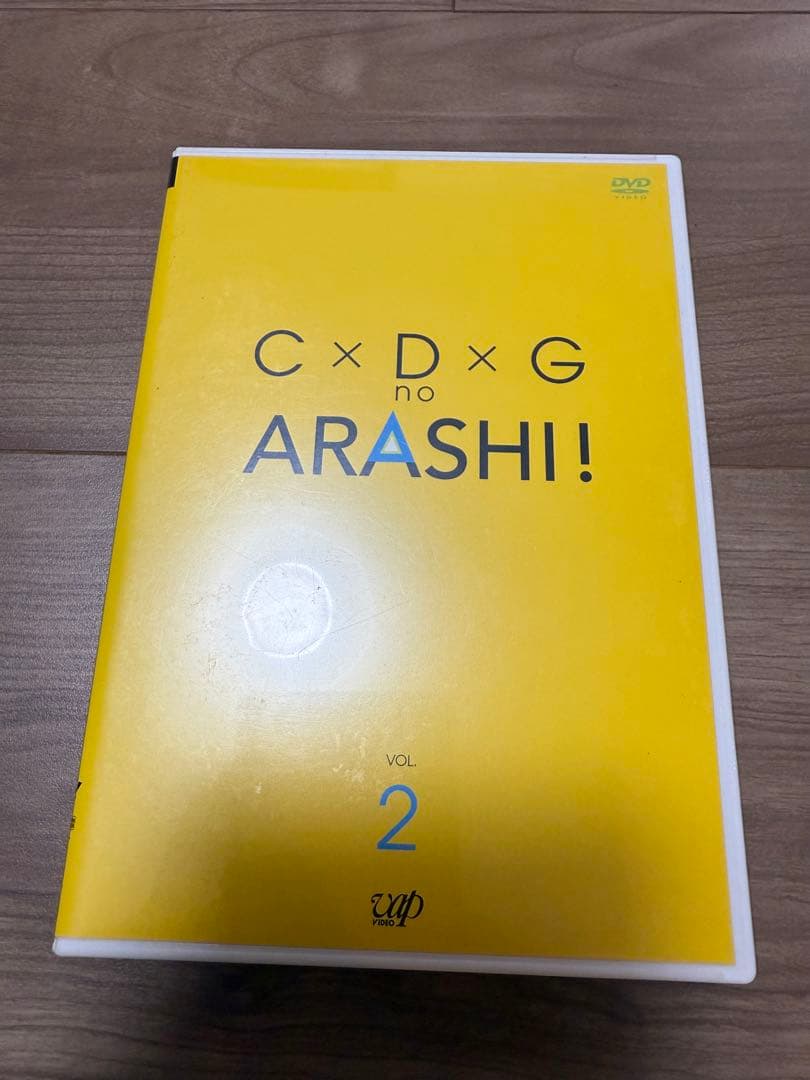 嵐　公式　DVD パンフレット クリアファイル　ペンライト