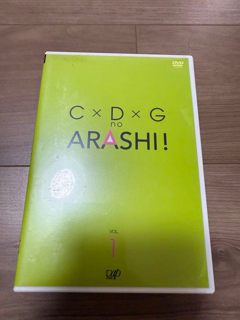 嵐　公式　DVD パンフレット クリアファイル　ペンライト