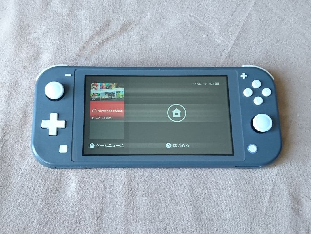 【ジャンク】 Switch Lite 本体 充電器付き
