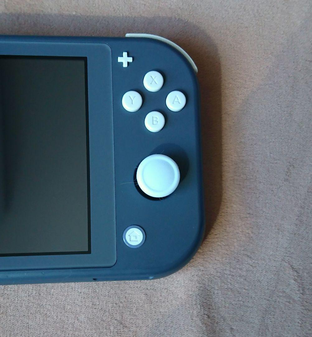 【ジャンク】 Switch Lite 本体 充電器付き