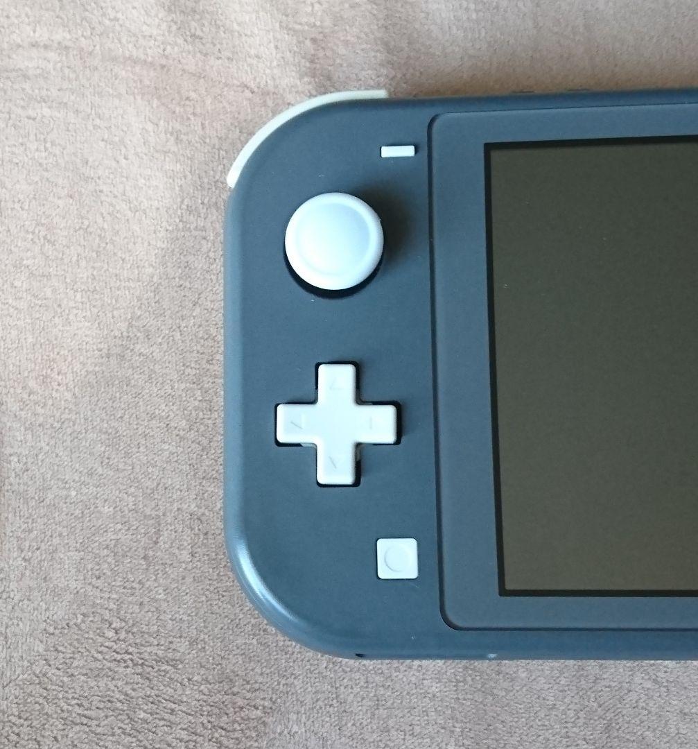 【ジャンク】 Switch Lite 本体 充電器付き