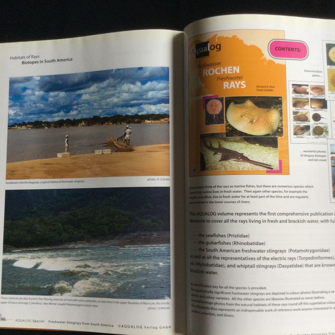 淡水エイ　魚　洋書　Aqualog 南アメリカ　南米　Ray 淡水魚　熱帯魚　魚