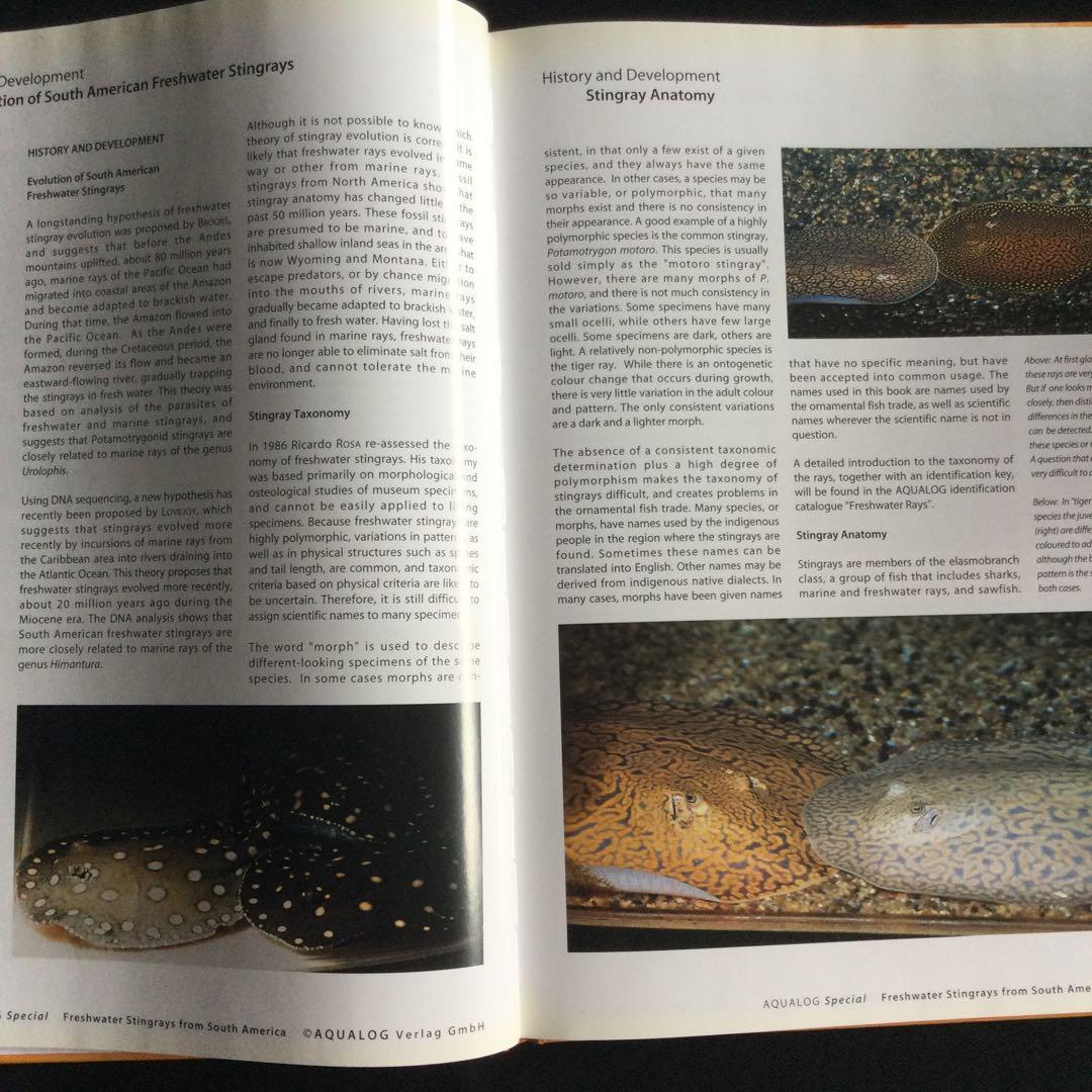 淡水エイ　魚　洋書　Aqualog 南アメリカ　南米　Ray 淡水魚　熱帯魚　魚