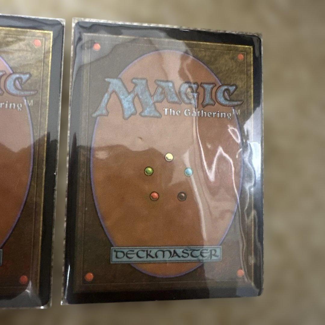 MTG セラの聖域 2枚セット