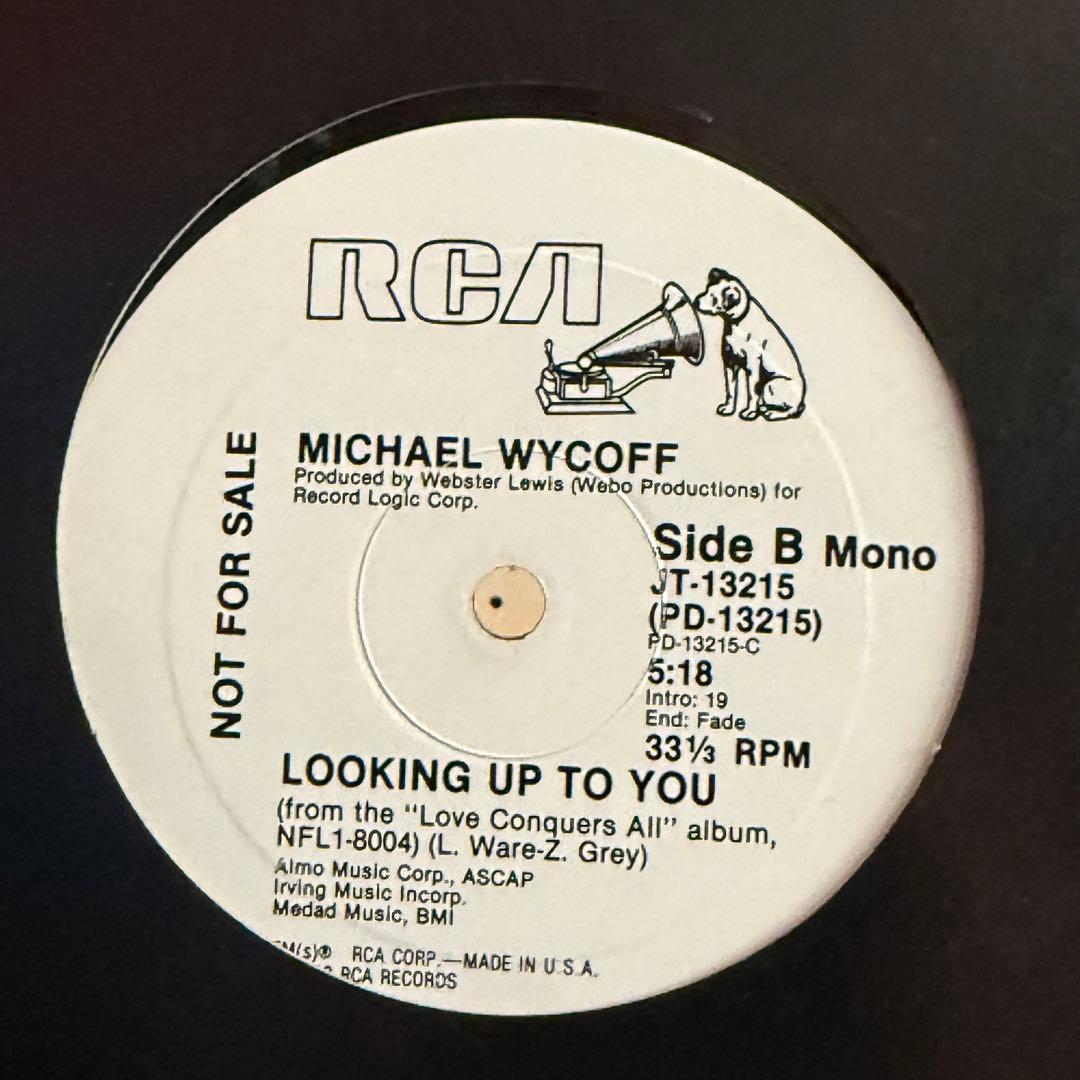 MICHAEL WYCOFF LOOKING UP TO YOU 12インチレコ