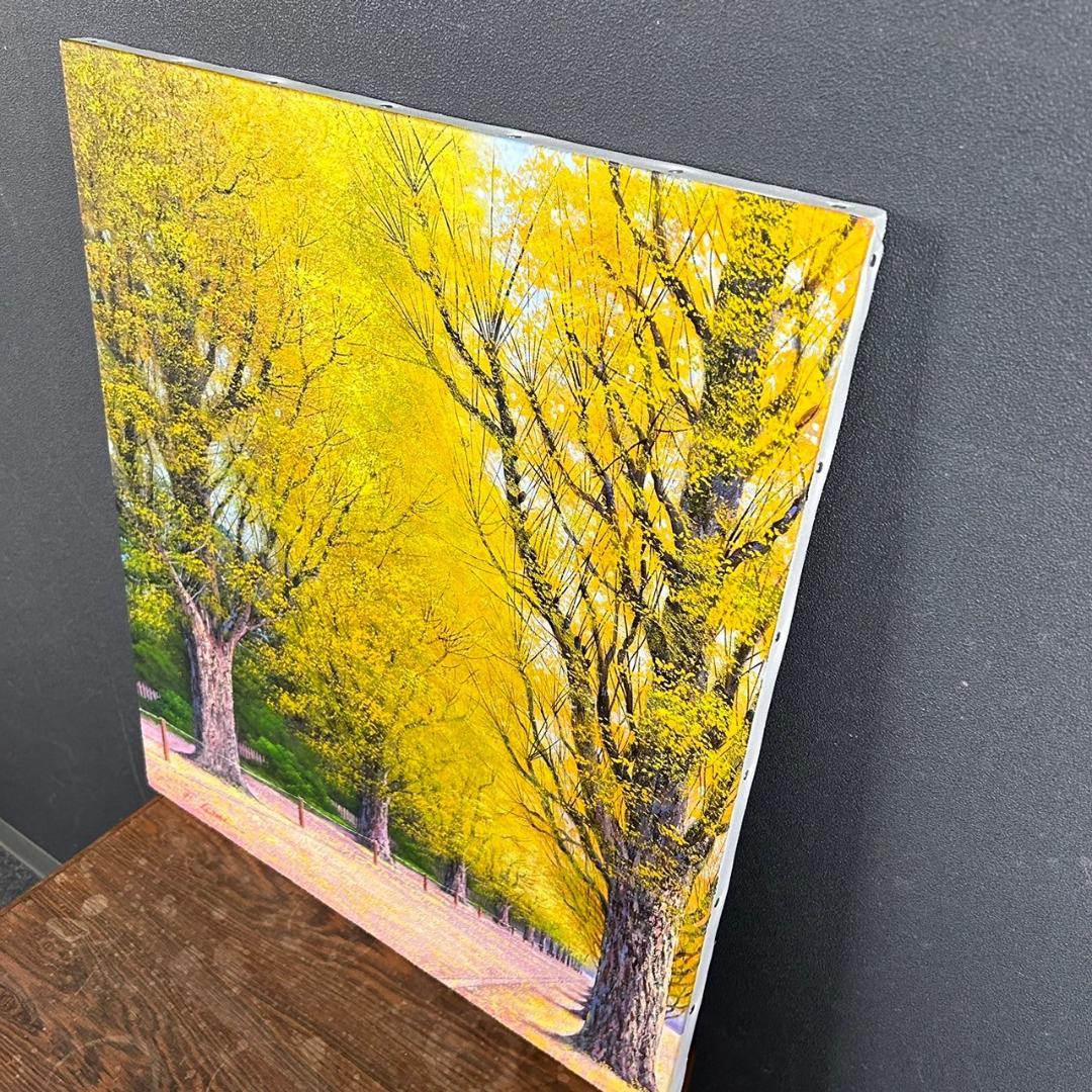 美品 寺井孝「いちょう並木」油彩画 油絵 F10 豪華額装 現美展二科展
