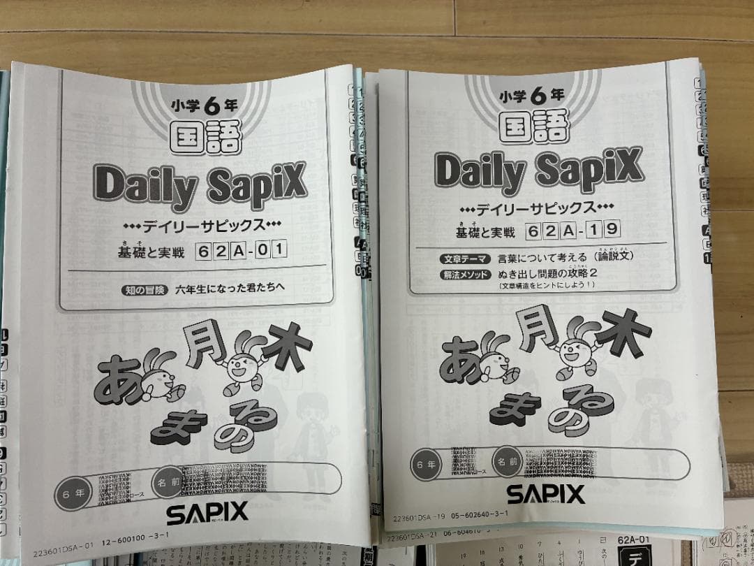 【SAPIX】サピックス 6年 国語テキストセット 小6
