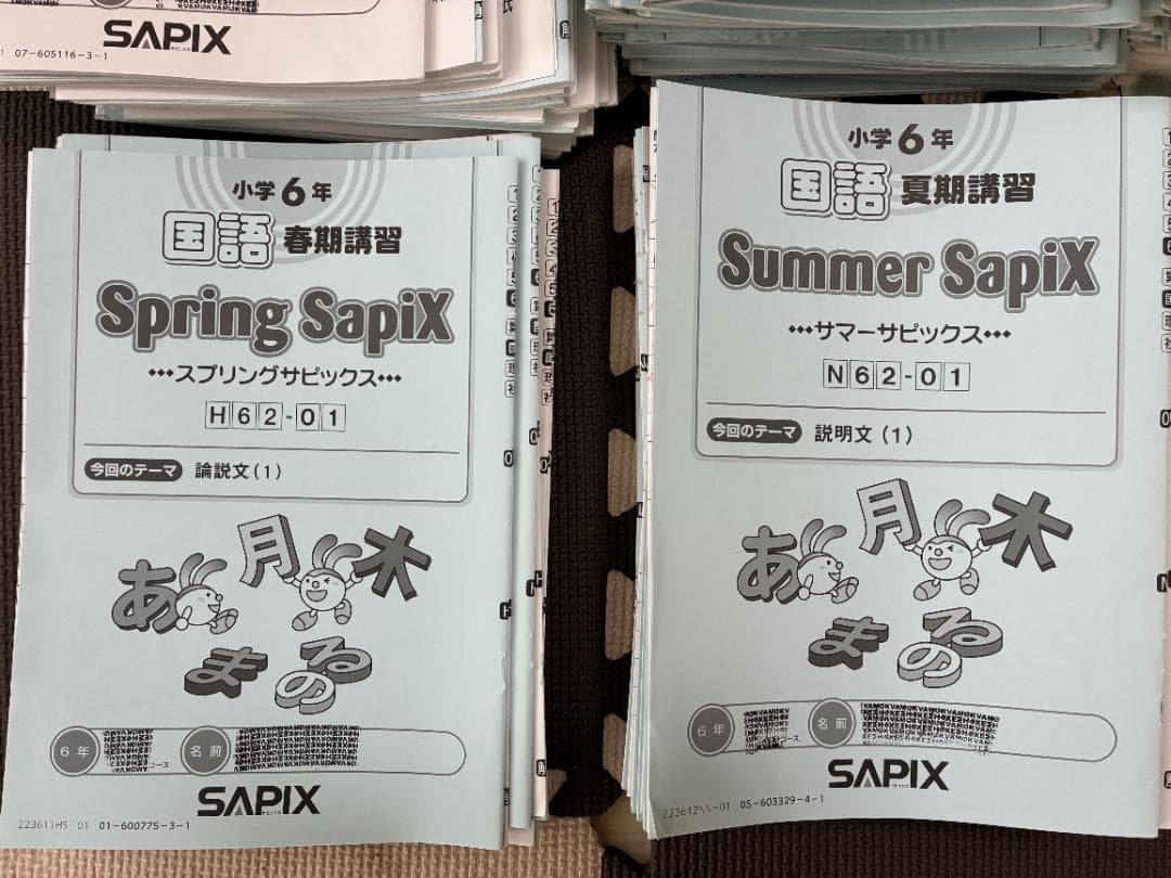 【SAPIX】サピックス 6年 国語テキストセット 小6
