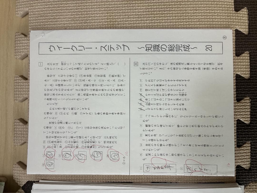 【SAPIX】サピックス 6年 国語テキストセット 小6