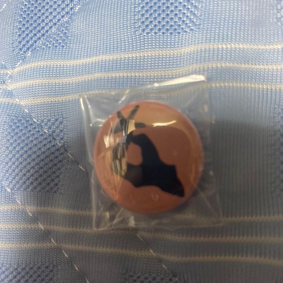クロマニヨンズ　ヘイ！ワンダー　レコード　缶バッジ付き　新品未開封