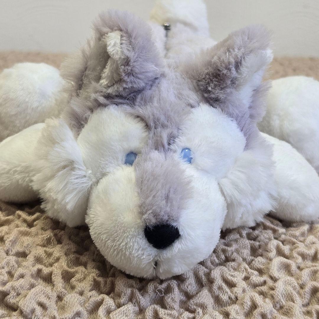 NICI ニキ 完売商品 ポーチ ペンケース シベリアンハスキー 犬