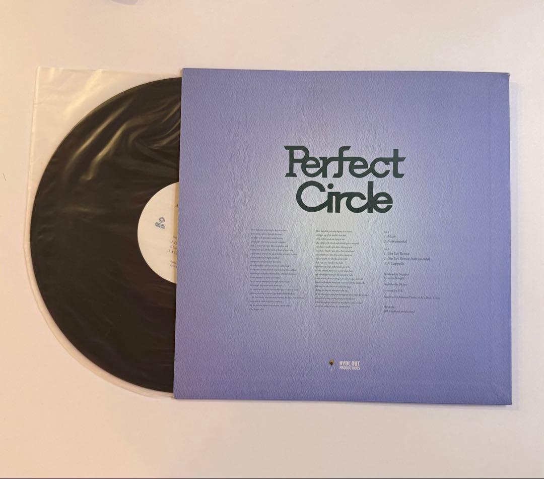 邦楽 nujabes Perfect Circle LP
