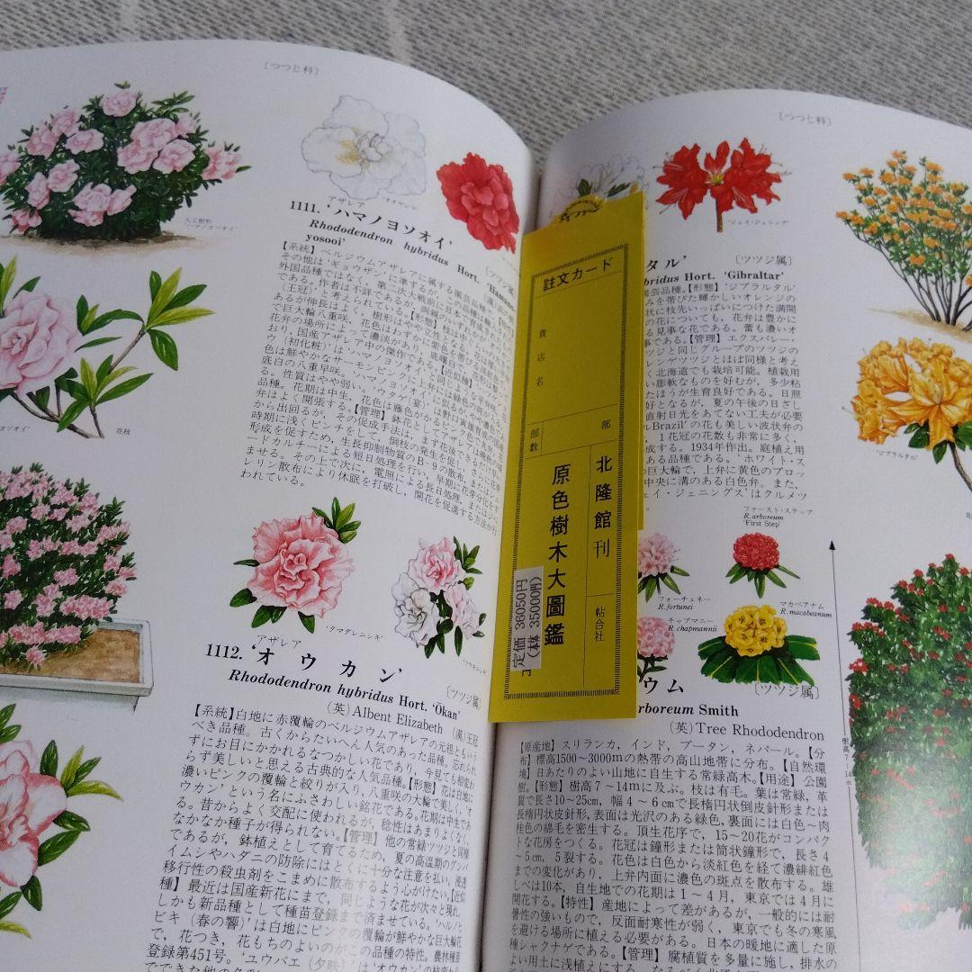【美品】原色樹木大図鑑　北隆館